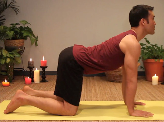 Cow pose for spinal extension
