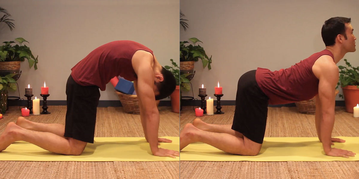 Posture Of The Month Cat Cow Pose Your Pace Yoga